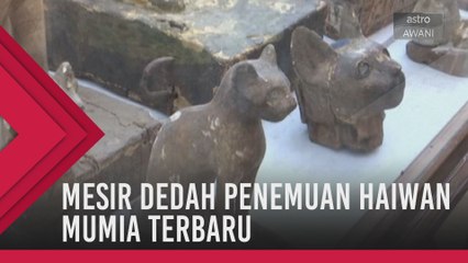 Mesir dedah penemuan haiwan mumia terbaru