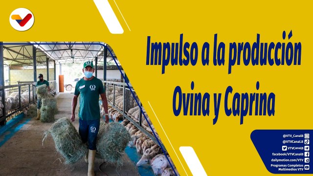 Punto de Encuentro | Productores mostrarán su potencial en la Expoferia Caprina Ovina Miranda 2022