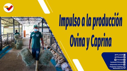 Punto de Encuentro | Productores mostrarán su potencial en la Expoferia Caprina Ovina Miranda 2022