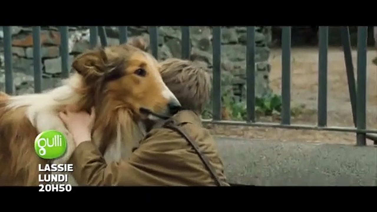 Lassie