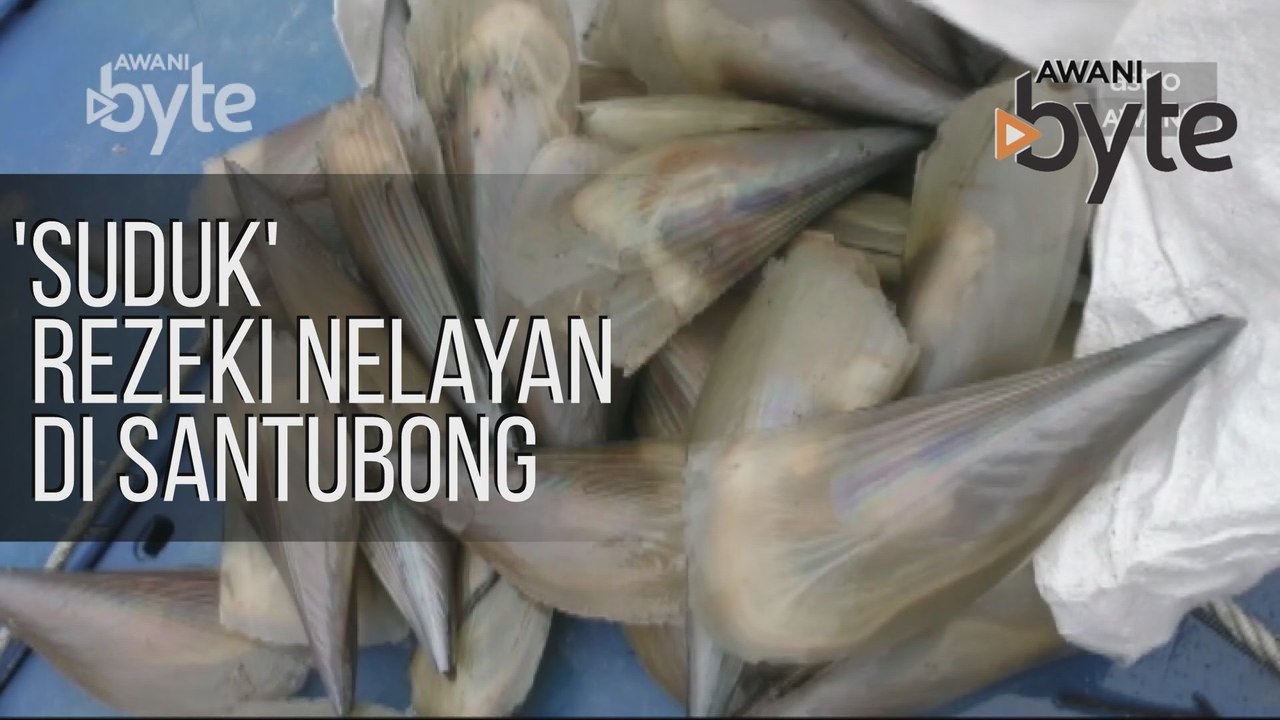 #AWANIByte: 'Suduk' rezeki nelayan di Santubong