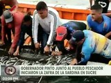 Sucre | Inicia levantamiento de la veda de la sardina desde Puerto Santo, mcpio. Arismendi
