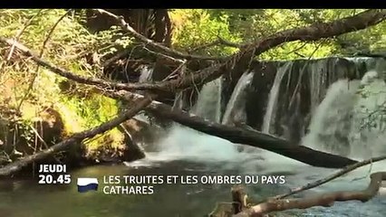Les Truites et les ombres du pays Cathare