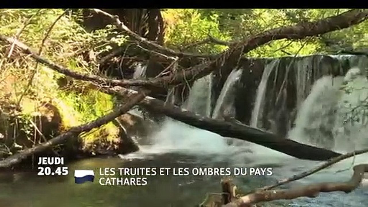 Les Truites et les ombres du pays Cathare