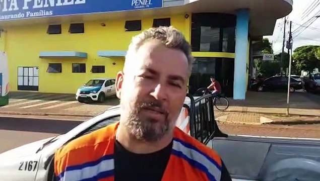 Violento enxame de abelhas é retirado pela Defesa Civil; Roberto Parra orienta cuidados a serem tomados