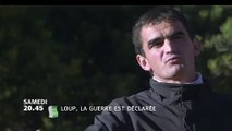 Loup : la guerre est déclarée