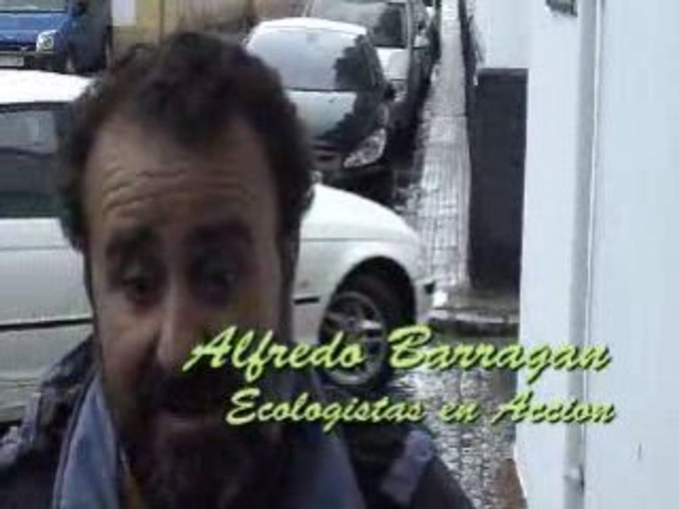 Casaarizon