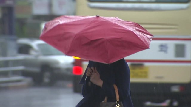 [날씨] 오늘 전국 봄비...제주 많은 비, 강원 산간 폭설 주의 / YTN