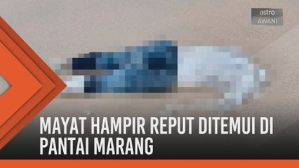Mayat reput ditemui di Pantai Marang