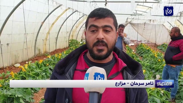 الصقيع يضرب عشرات الدونمات من المحاصيل الحقلية الزراعية