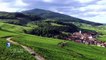 Le Sang de la vigne - Vengeances tardives en Alsace