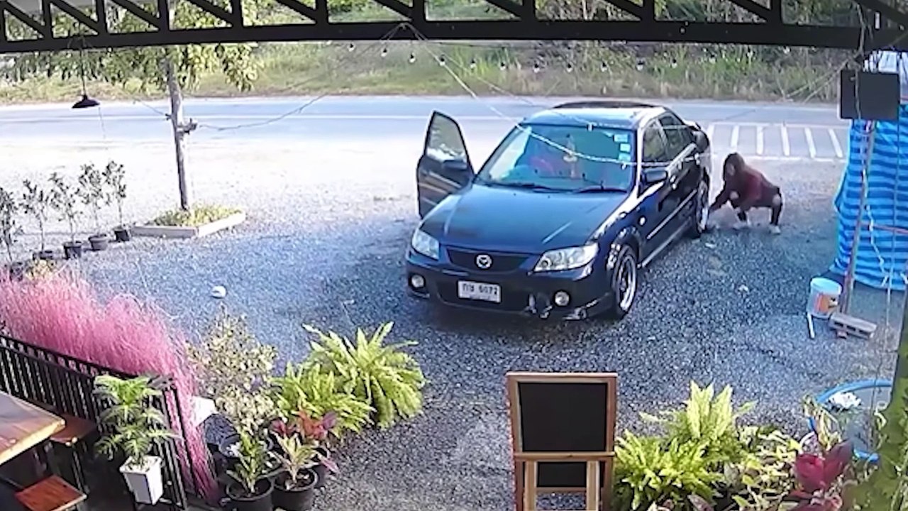 200 Cosas Increíbles Captadas por las Cámaras. Lo Mejor Del Mes