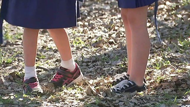 Declining vaccination rates in Qld schools prompts renewed calls to get kids vaccinated