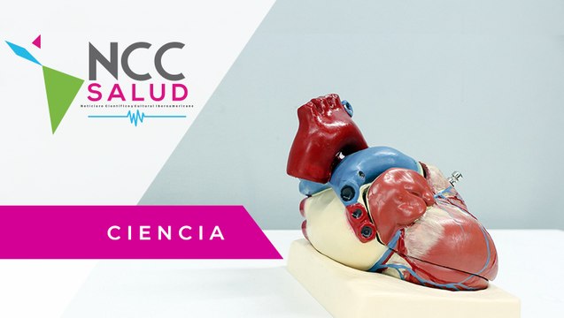 ¿Qué es la coartación aórtica? Conoce los síntomas de esta cardiopatía