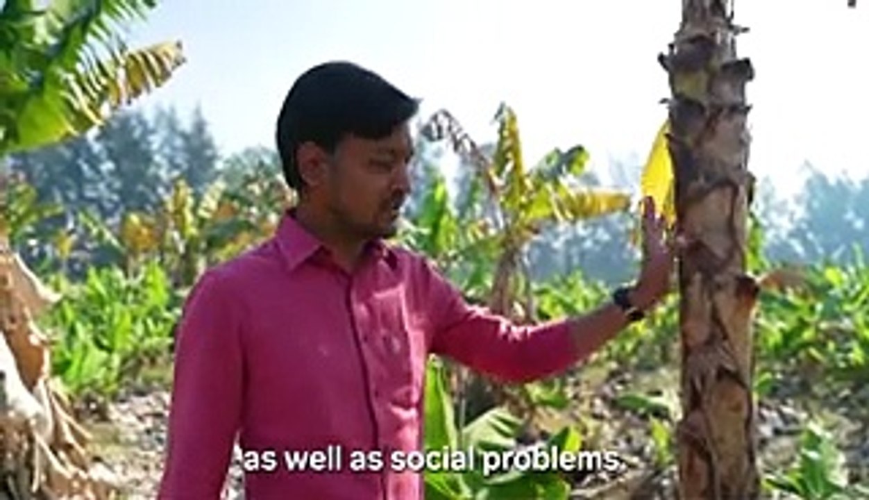 VIDEO: How banana plant waste is turned into menstrual pads