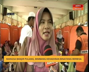 Mangsa banjir pulang, bimbang kehadiran binatang berbisa