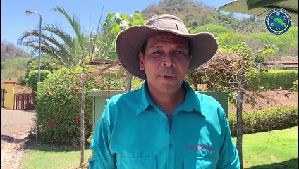 ext-Así fue como autoridades le salvaron la vida a tucán herido-160322