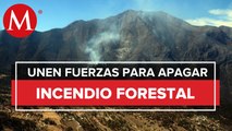Continúan labores para sofocar incendio en la sierra de Santiago