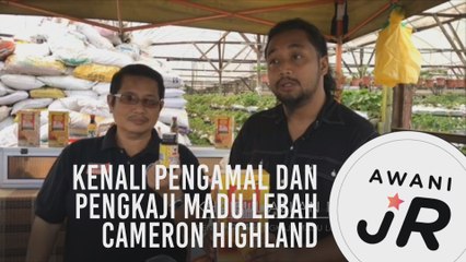 #AWANIJr: Kenali pengamal dan pengkaji madu lebah Cameron Highland