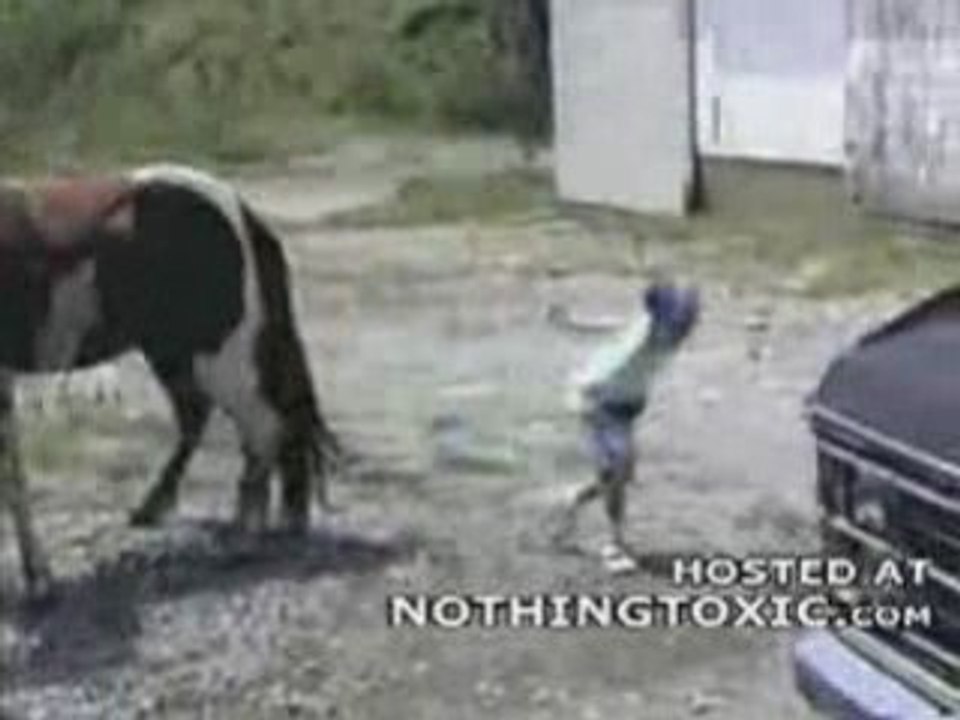 Embeter un cheval