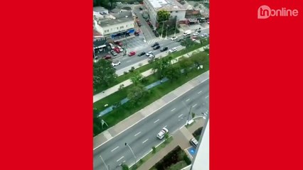 Boi sai correndo, derruba pessoas e é perseguido por policiais em SP