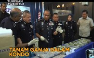 Tumpuan AWANI 7:45 - Tanam ganja dalam kondo & pemerkasaan orang muda