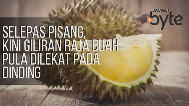 #AWANIByte: Selepas pisang, kini giliran raja buah pula dilekat pada dinding
