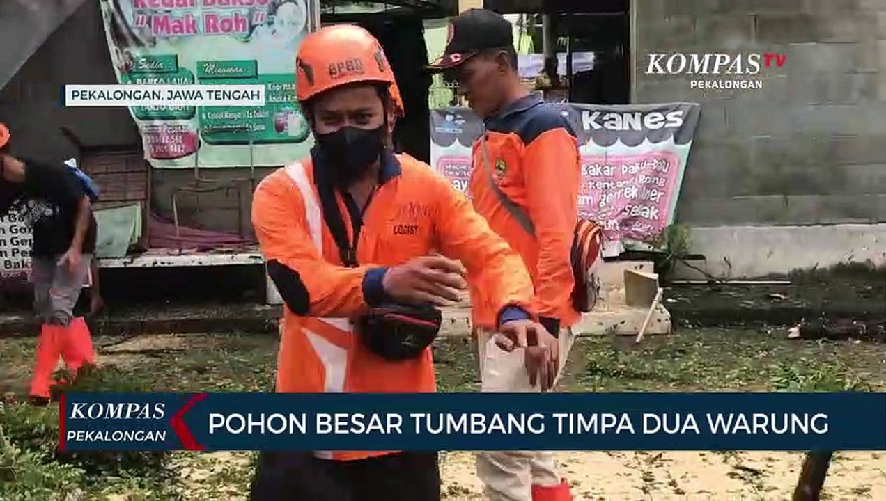 Pohon Tumbang Timpa Dua Warung di Kedungwuni