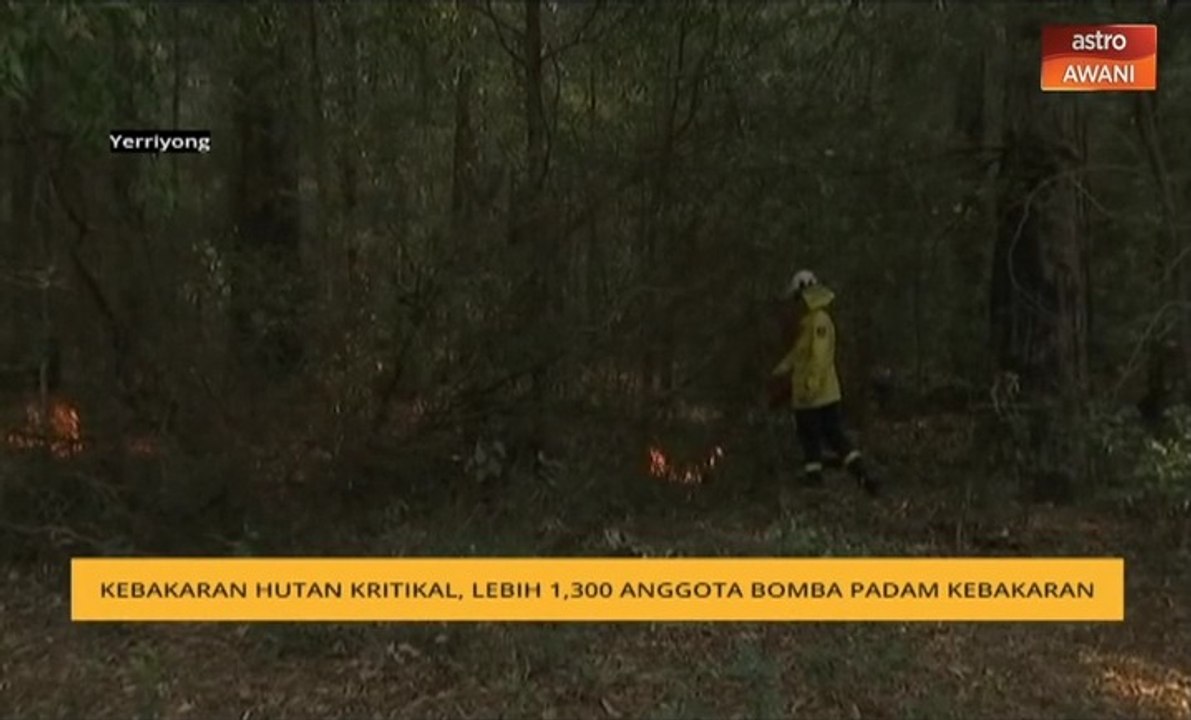 Kebakaran hutan kritikal, lebih 1,300 anggota bomba padam kebakaran