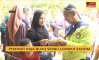Peminat raja buah serbu Lembah Sahom