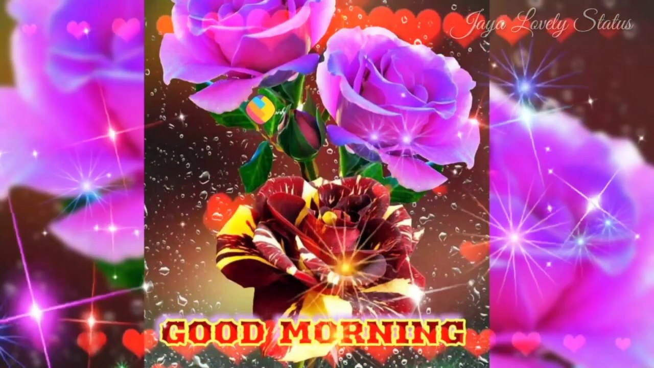 Good Morning New Trending Whatsapp