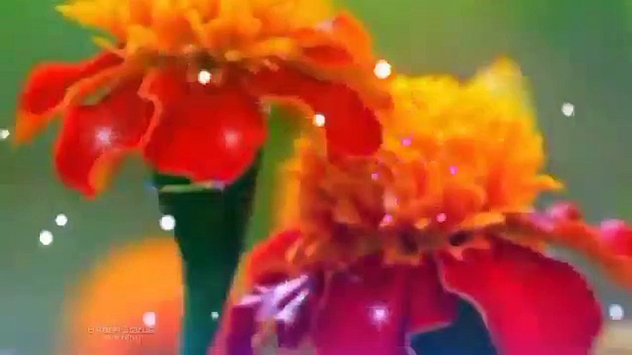 Good Morning Special Whatsapp