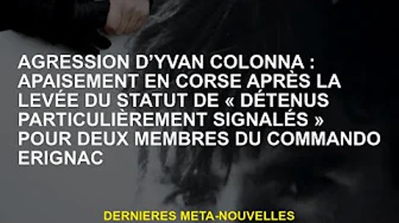 Agression d'Ivan Colonna : politique d'apaisement en Corse après que deux commandos d'Erignac ont ét