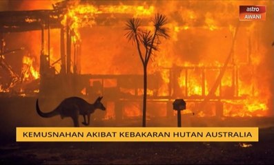 Cerita Sebalik Berita: Kemusnahan akibat kebakaran hutan Australia