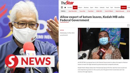 'No' to Kedah MB's 'personal request' to export ketum leaves, says Hamzah