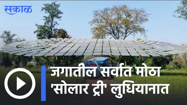 Ludhiana | जगातील सर्वात मोठा 'सोलार ट्री' लुधियानात, गिनीज बुक ऑफ वर्ल्ड रेकॉर्डमध्ये नोंद | Sakal |