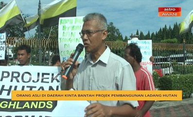 Orang Asli di Daerah Kinta bantah Projek Pembangunan Ladang Hutan