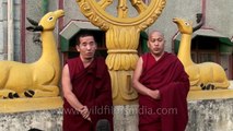 Duet multi-phonic chanting by Tibetan monks