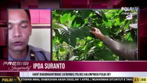 Presisi Inspiratif : Ipda Suranto, Menginisiasi Pemberdayaan Masyarakat Dalam Mengolah Biji Kopi Agar Bernilai Tinggi