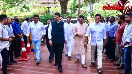 राणेंचा पत्ता कट, फडणवीसांनी ठरवलं तेच होणार