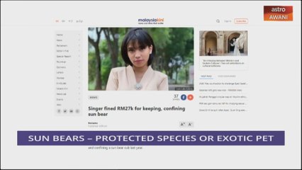 Consider This: Sun Bears - RM27,000 Fine for Bragging Rights