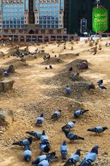 Koi Lafzon Mein Naat Shareef Kaise Bayan Karen? 🌙 | Easy Steps to Recite Naat Shareef