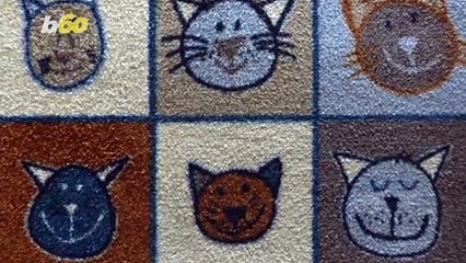 Spring Clean Your House The Right Way With These Simple Tips!