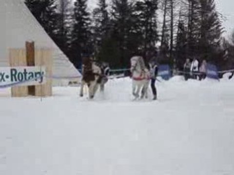 Championnat de France de ski joering 2008