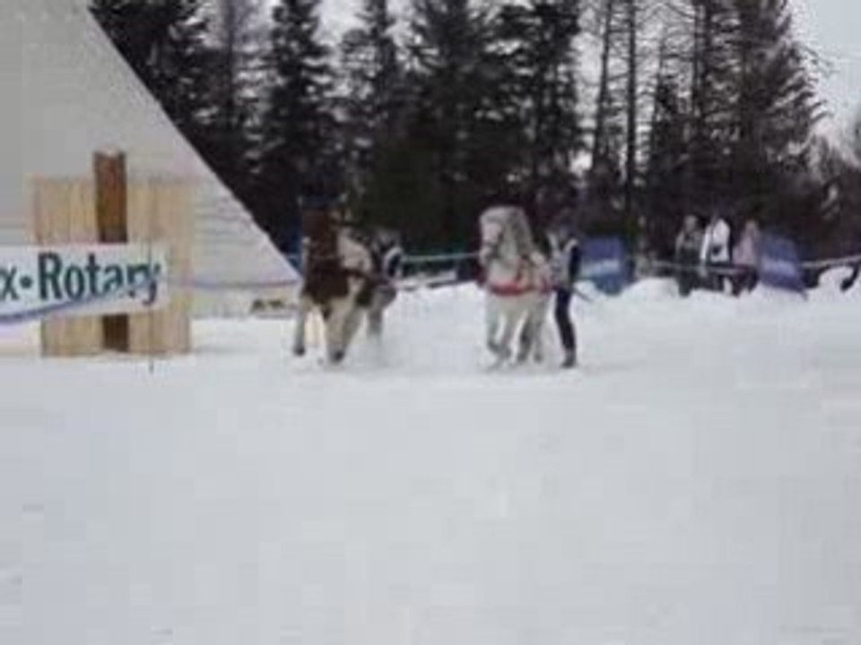 Championnat de France de ski joering 2008