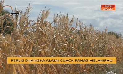 Perlis dijangka alami cuaca panas melampau