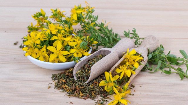 8 Propiedades y Beneficios del HIPÉRICO ✅