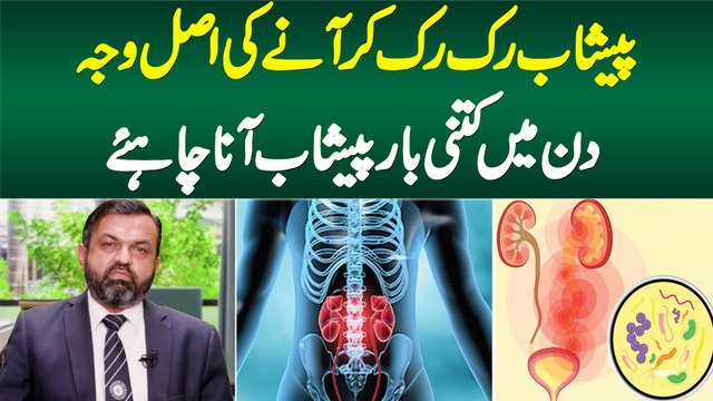 Peshab Ruk Ruk Kar Aane Ki Asal Waja Kya Hai? Din Me Kitni Baar Peshab Aana Chahiye?