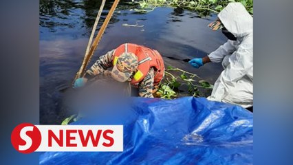 Body of woman attacked by croc in Miri found