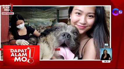 Dapat Alam Mo!: Nagkakasta ng aso sa Baguio, TikTok sensation na?